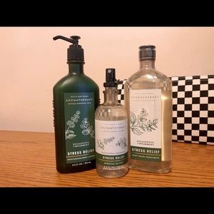 Bath and Body Works Aromatherapy Eucalyptus Spearmint STRESS RELIEF Set